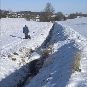 A walk in the winter