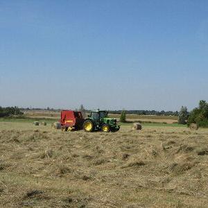Cutting the hay crop August 2009