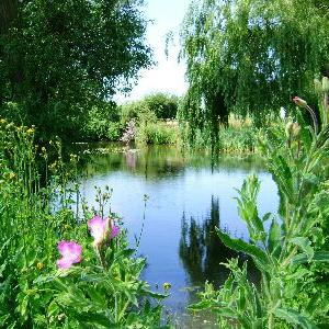 Lower Farm Pond in June2