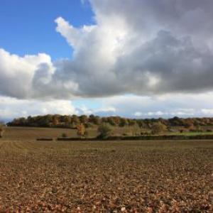 November ploughed fields resized