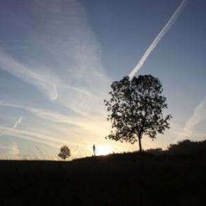 November sunrise resized